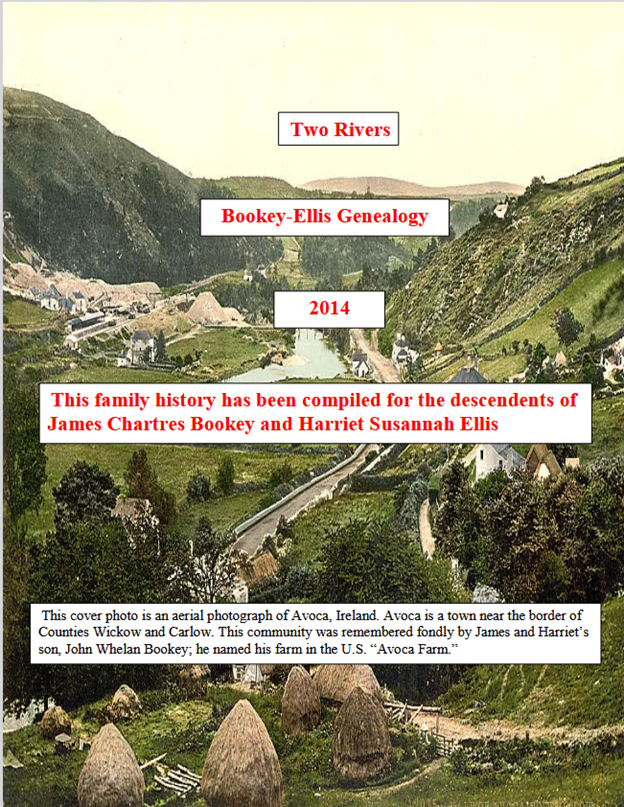 Book of Irish genealogy